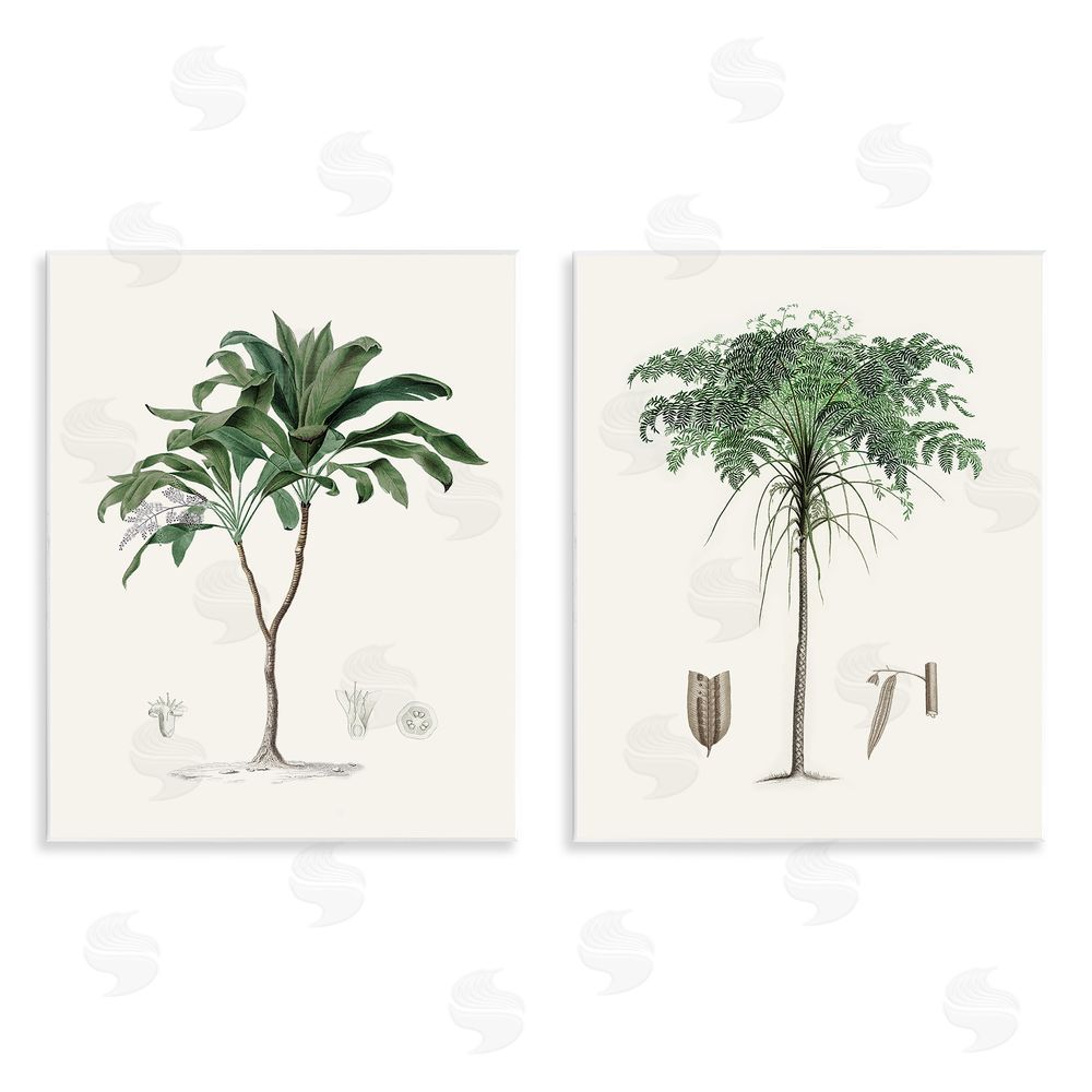 Val Rhodes Two Types of Palms Wall Plaque Art Print