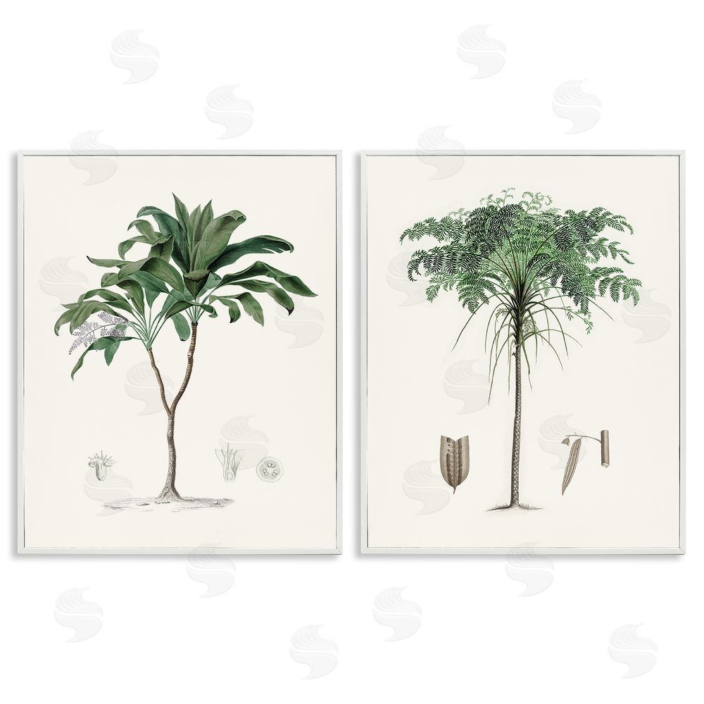 Val Rhodes Two Types of Palms White Framed Giclee Wall Art Print