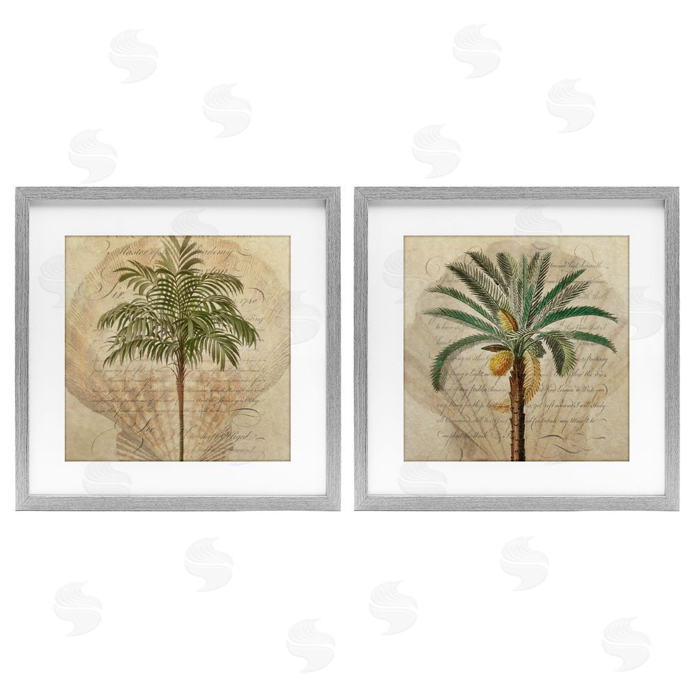 Steve Hunziker Subdued Tropical Palms Gray Framed Print Under Glass Wall Art