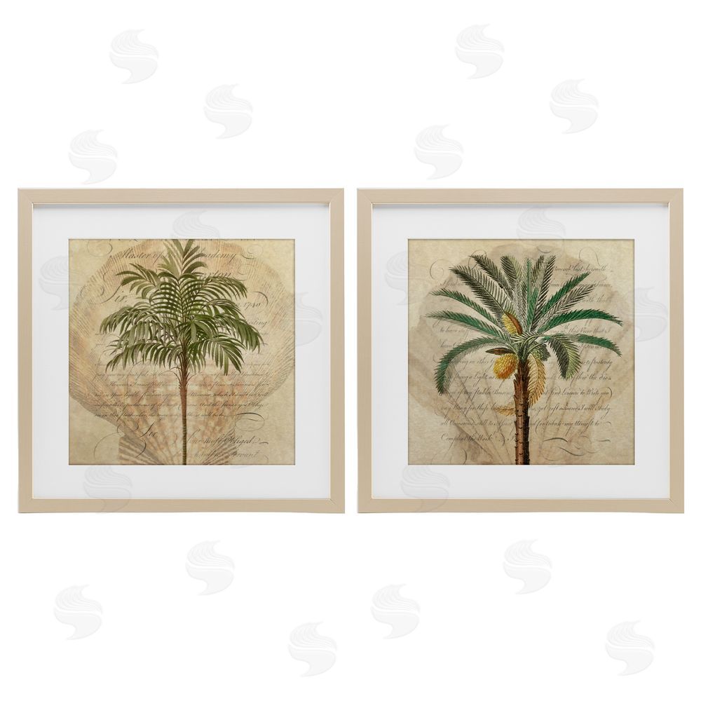 Steve Hunziker Subdued Tropical Palms Brown Framed Print Under Glass Wall Art