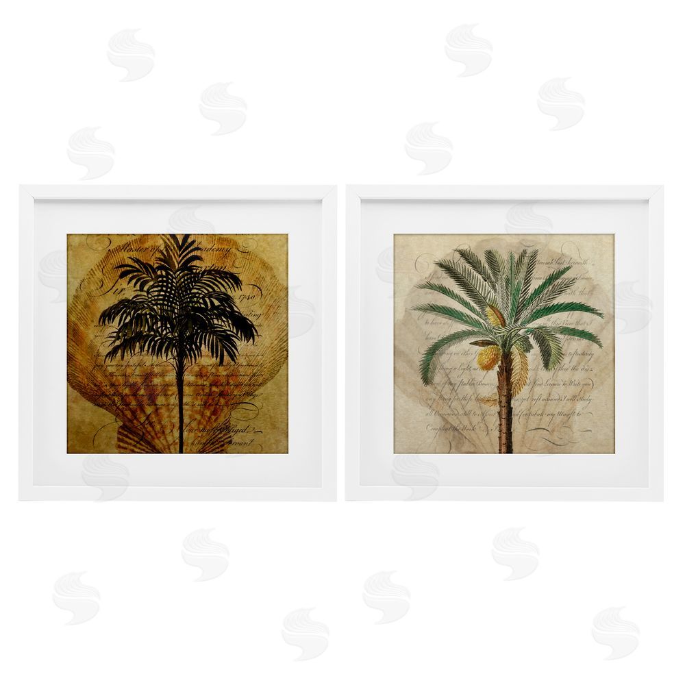 Steve Hunziker Subdued Tropical Palms White Framed Print Under Glass Wall Art