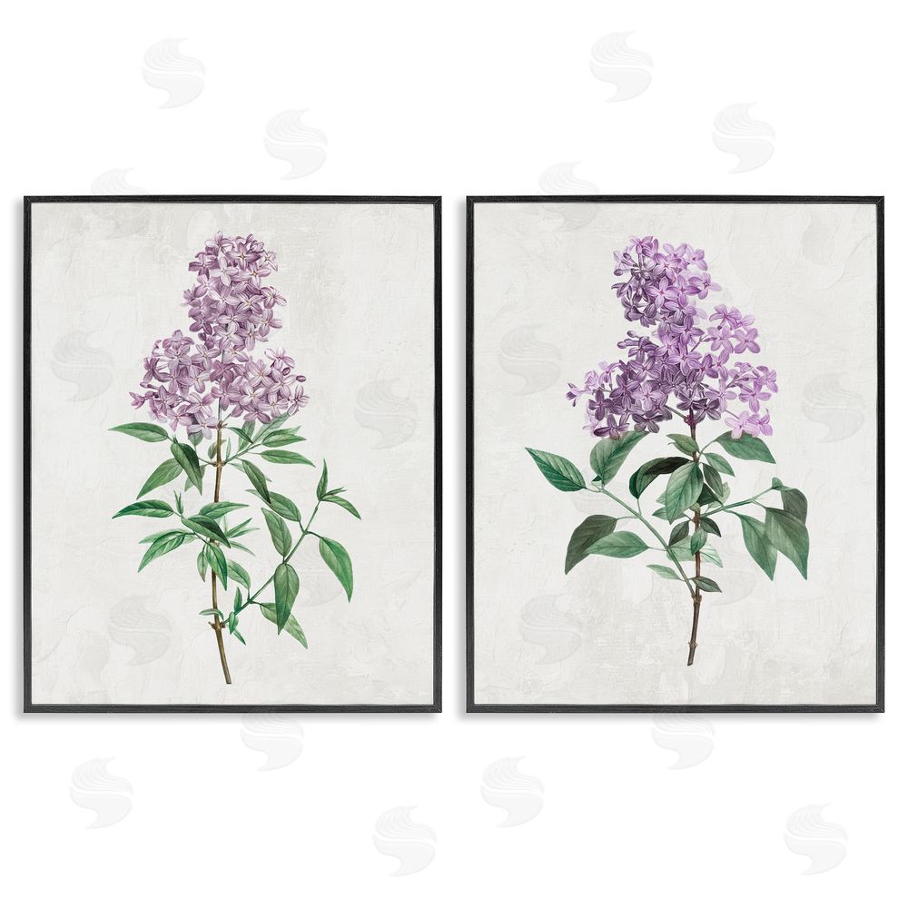Kim Allen Herbaceous Lilac Blooms Blacked Framed Giclee Wall Art Print