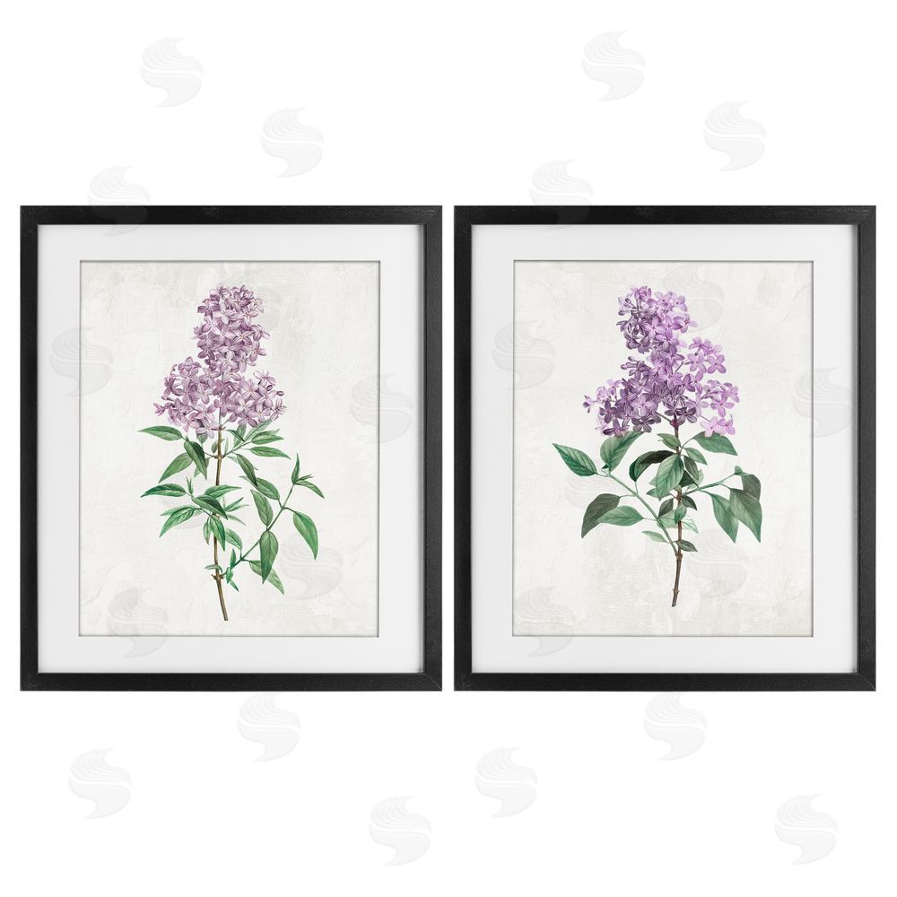 Kim Allen Herbaceous Lilac Blooms Black Framed Print Under Glass with Mat Wall Art
