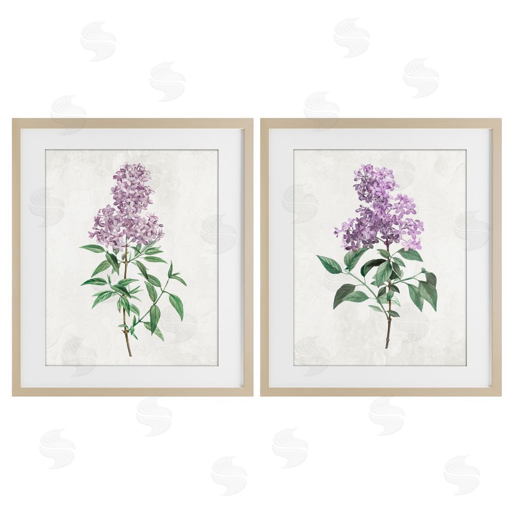 Kim Allen Herbaceous Lilac Blooms Brown Framed Print Under Glass with Mat Wall Art
