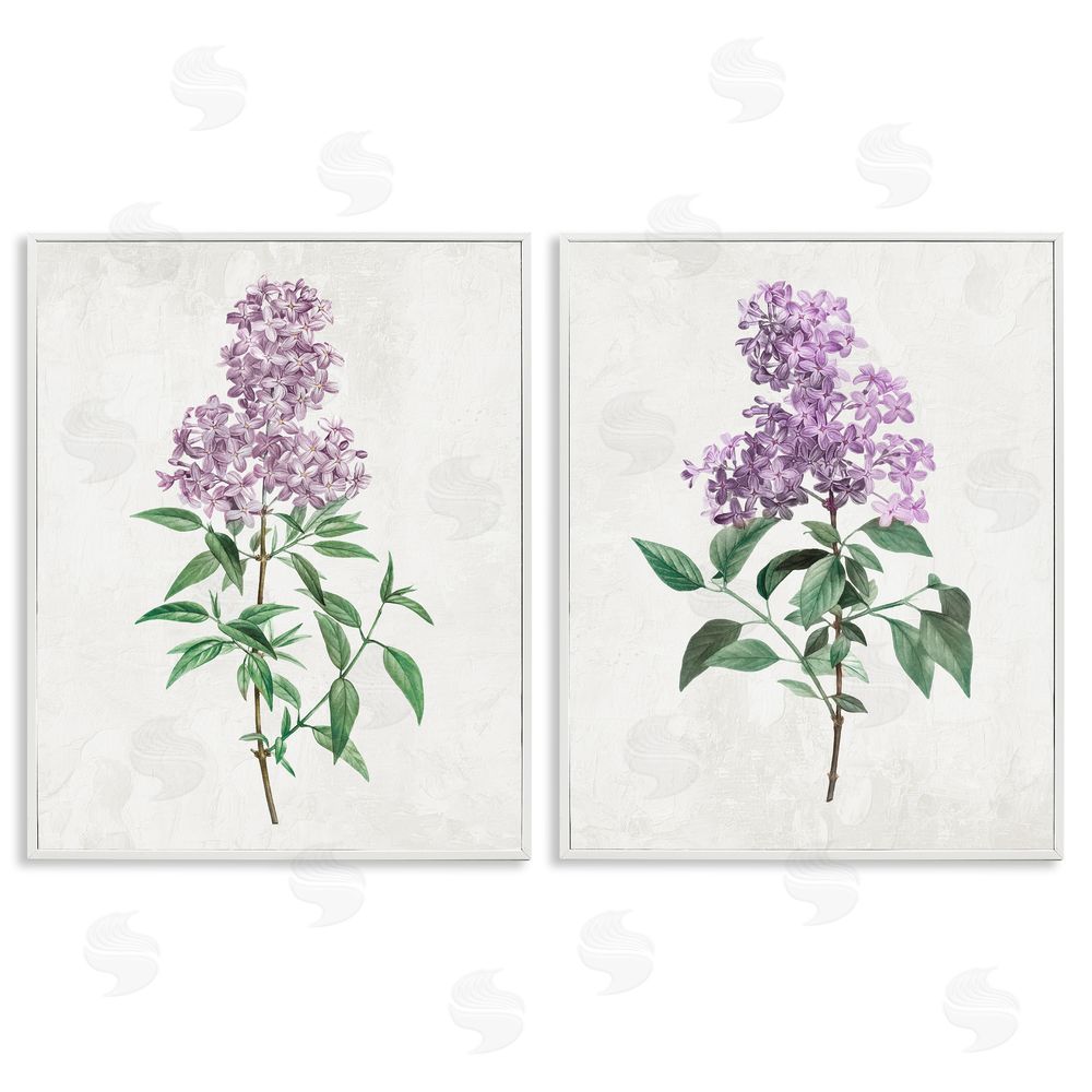 Kim Allen Herbaceous Lilac Blooms White Framed Giclee Wall Art Print