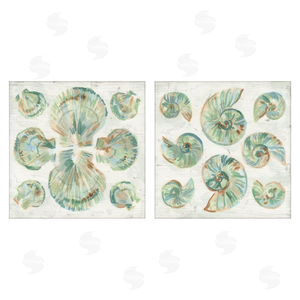 June Erica Vess Saltwashed Seashells Pattern Stretched Canvas Wall Art Print