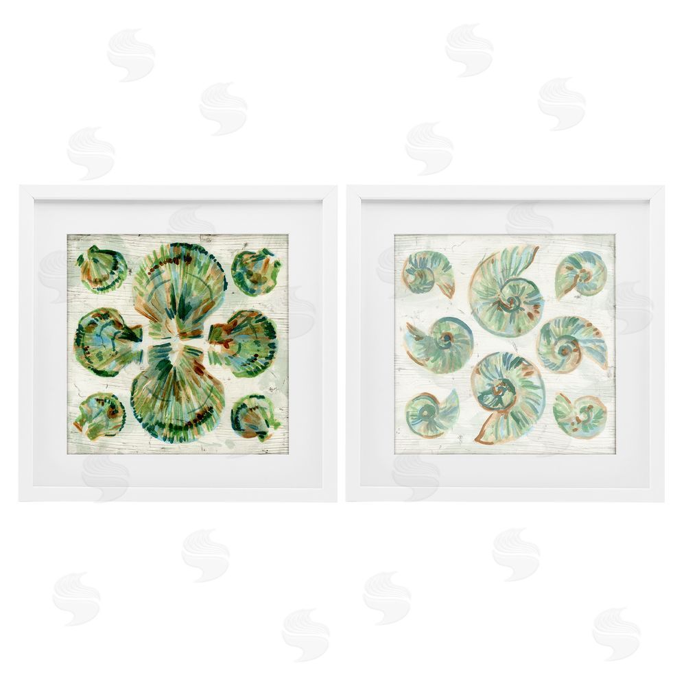 June Erica Vess Saltwashed Seashells Pattern White Framed Print Under Glass Wall Art