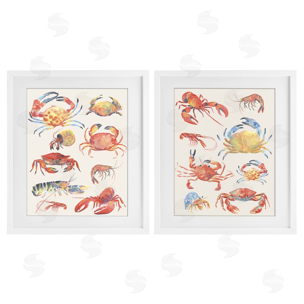 June Erica Vess Aquatic Crustacean Collection White Framed Print Under Glass Wall Art