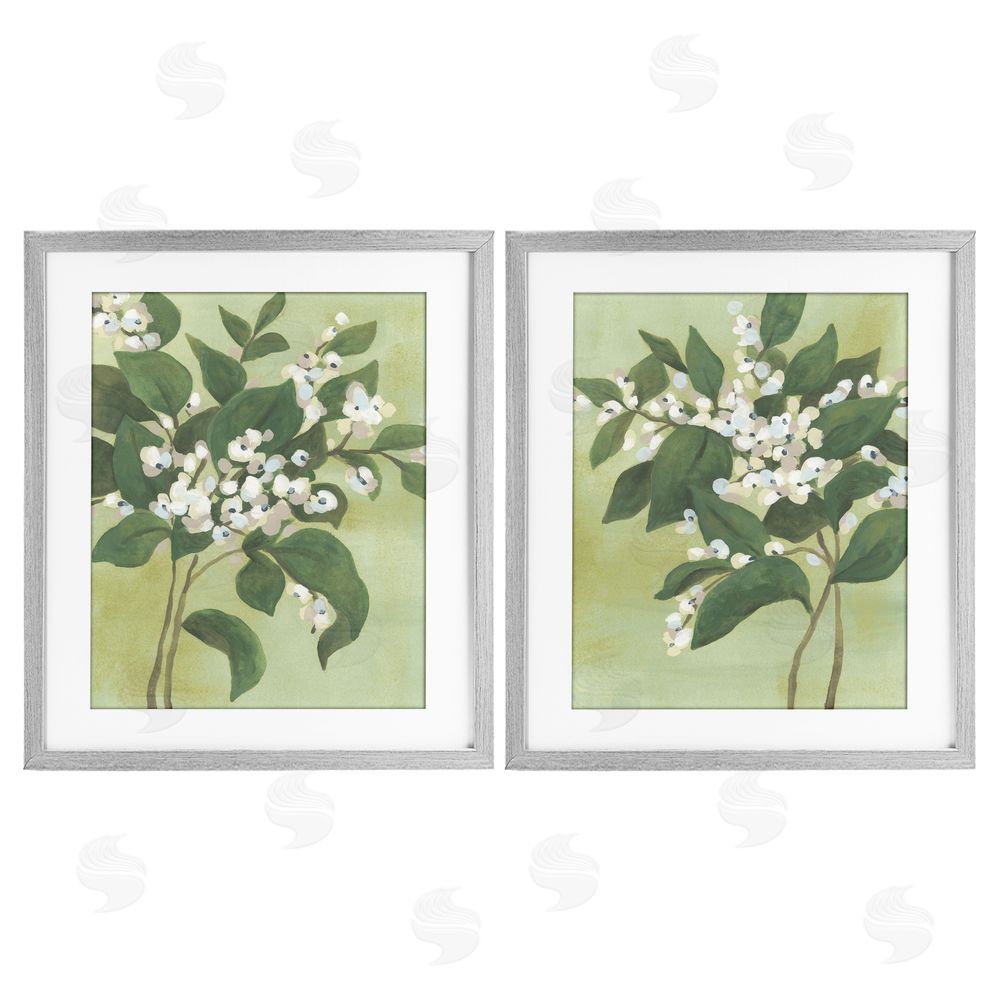 June Erica Vess Verdant Herb Blossoms Gray Framed Print Under Glass Wall Art