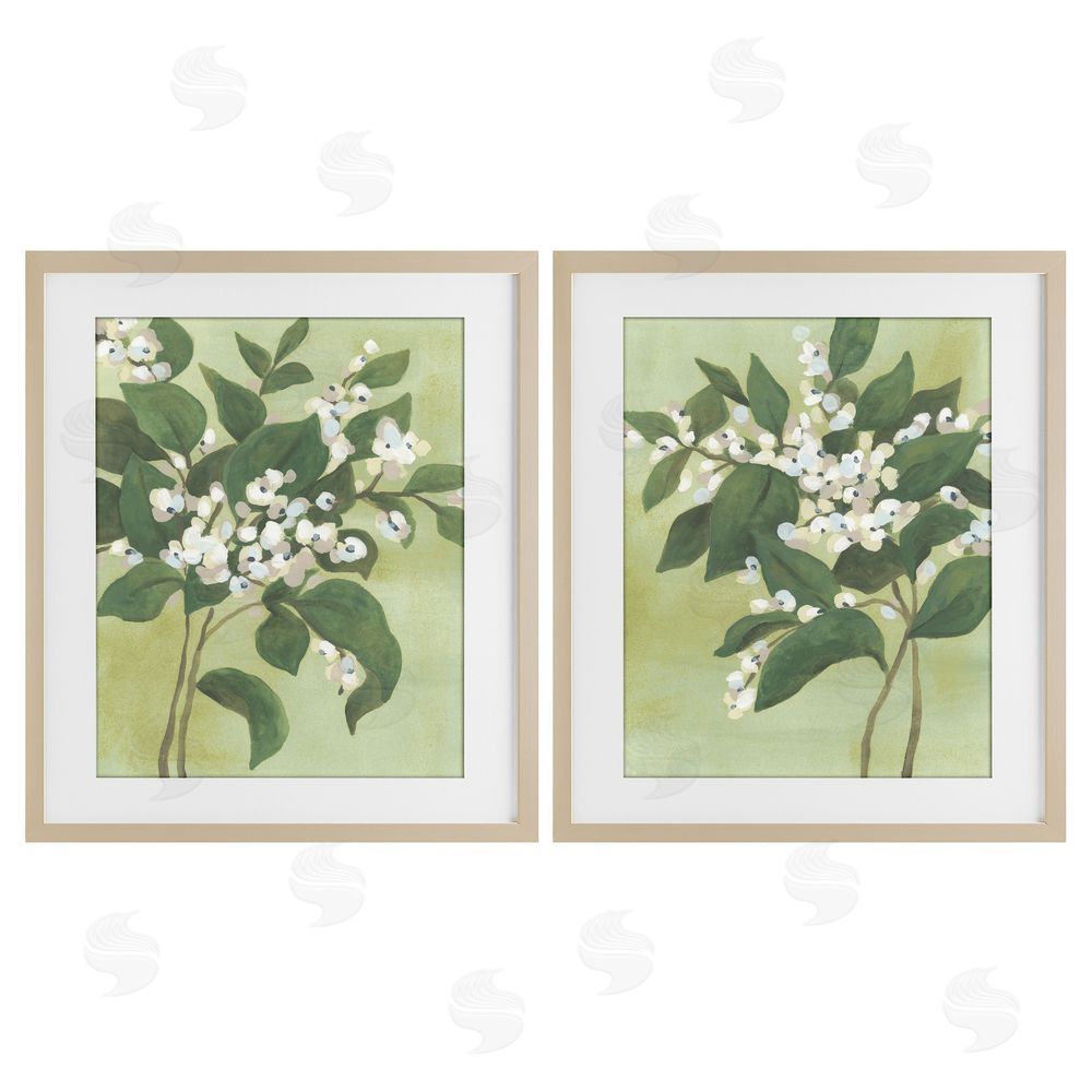 June Erica Vess Verdant Herb Blossoms Brown Framed Print Under Glass Wall Art