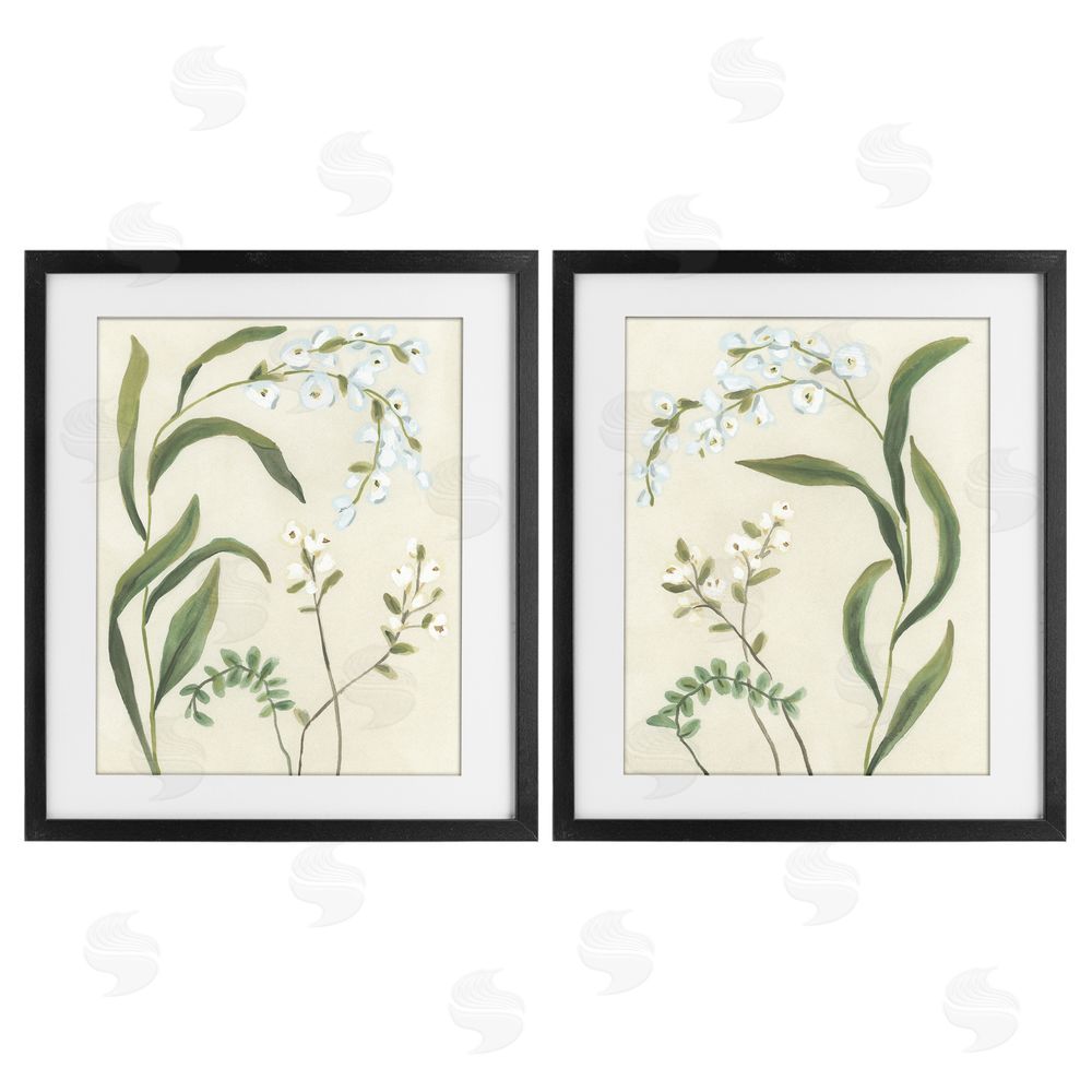 June Erica Vess Vintage Snowdrop Stems Black Framed Print Under Glass Wall Art