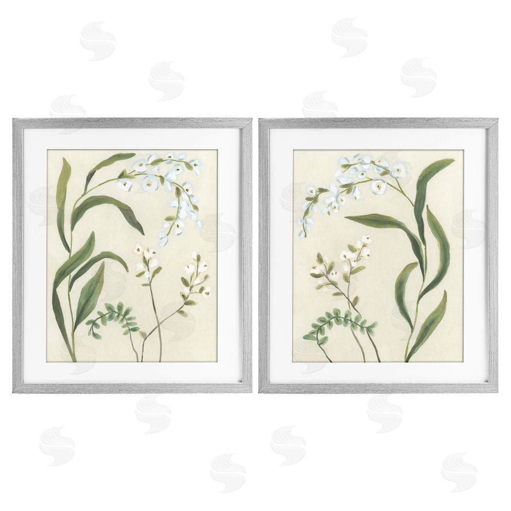 June Erica Vess Vintage Snowdrop Stems Gray Framed Print Under Glass Wall Art