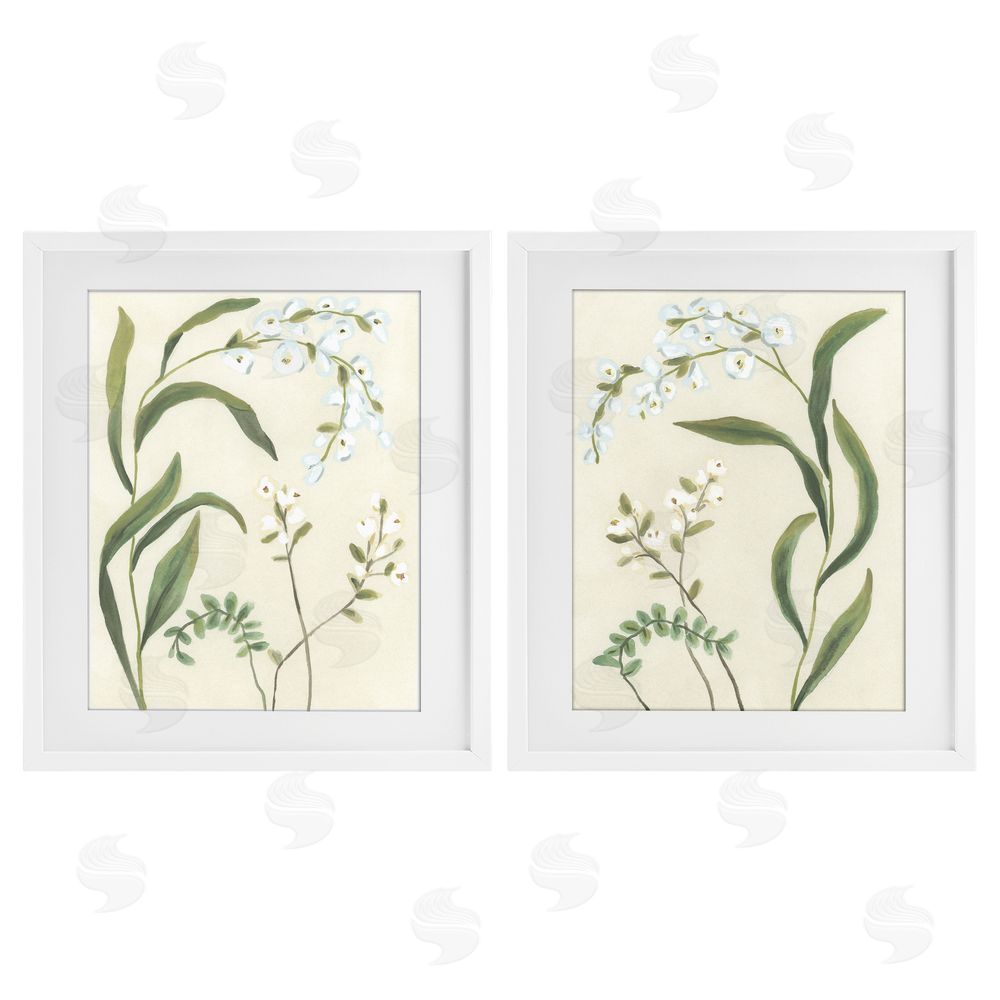 June Erica Vess Vintage Snowdrop Stems White Framed Print Under Glass Wall Art