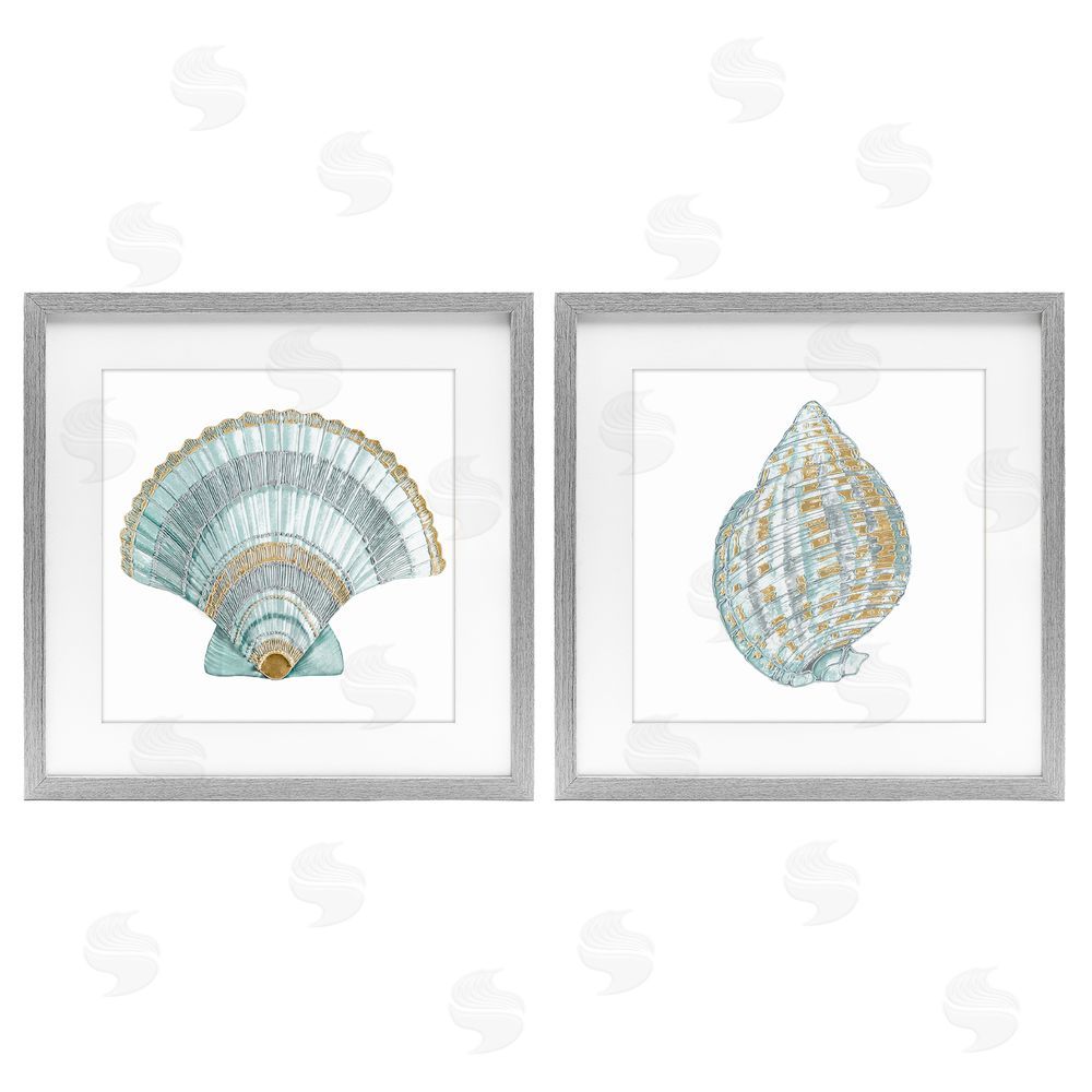 Lorenzo Collective Regal Clam Shell Duo Gray Framed Print Under Glass Wall Art