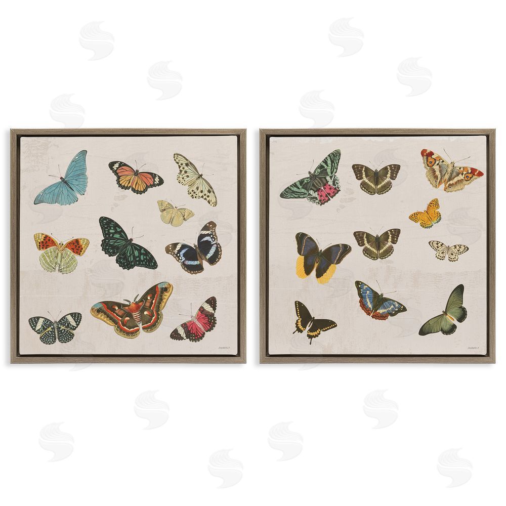 Sundance Graphics Collection of Vintage Butterflies Brown Floating Frame Canvas Wall Art Print