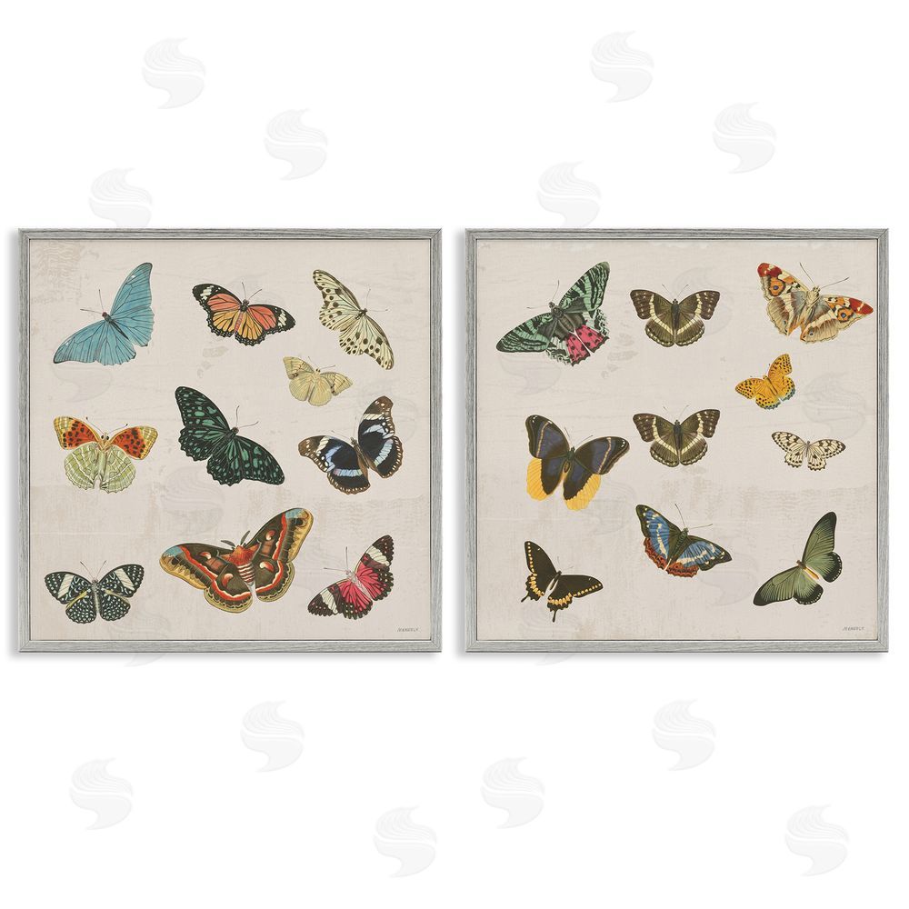Sundance Graphics Collection of Vintage Butterflies Gray Framed Giclee Wall Art Print