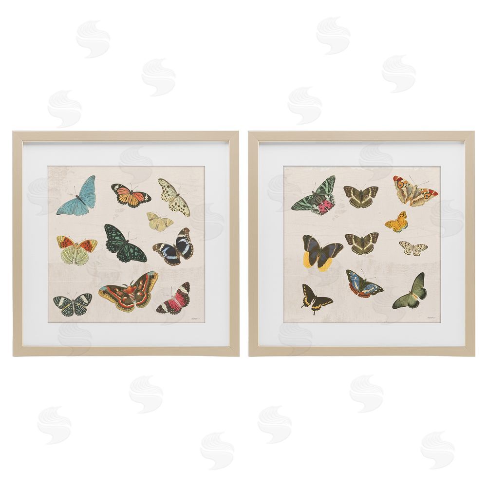 Sundance Graphics Collection of Vintage Butterflies Birch Framed Print Under Glass Wall Art