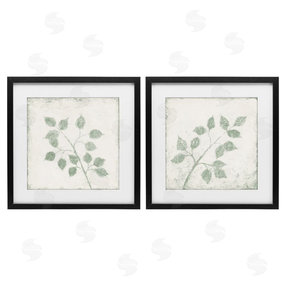 Sundance Graphics November Leaves Soft Plants Black Framed Print Under Glass Wall Art