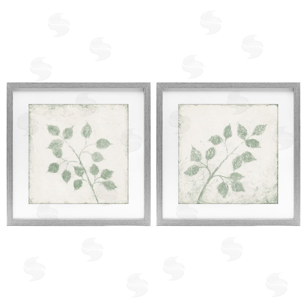 Sundance Graphics November Leaves Soft Plants Gray Framed Print Under Glass Wall Art
