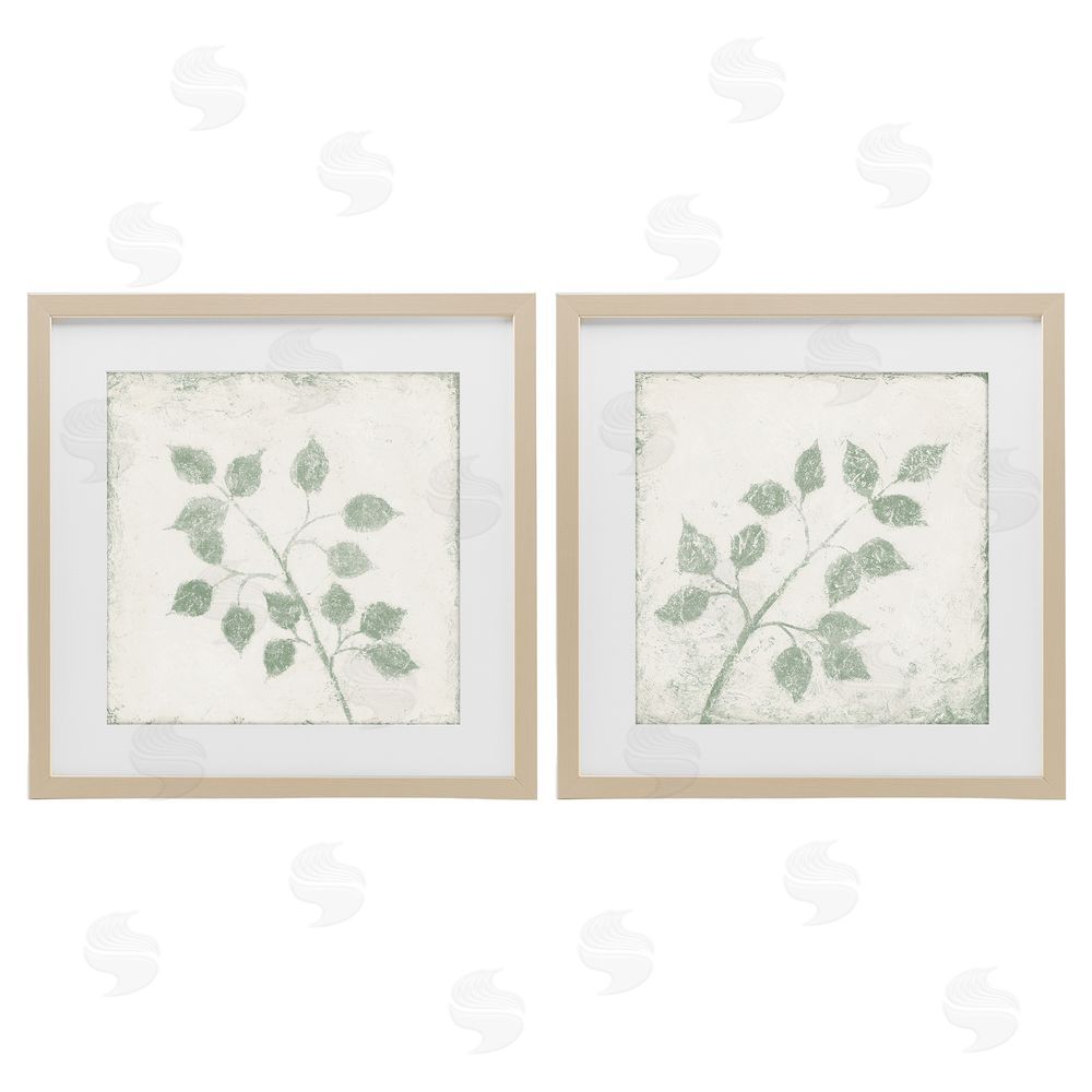 Sundance Graphics November Leaves Soft Plants Birch Framed Print Under Glass Wall Art