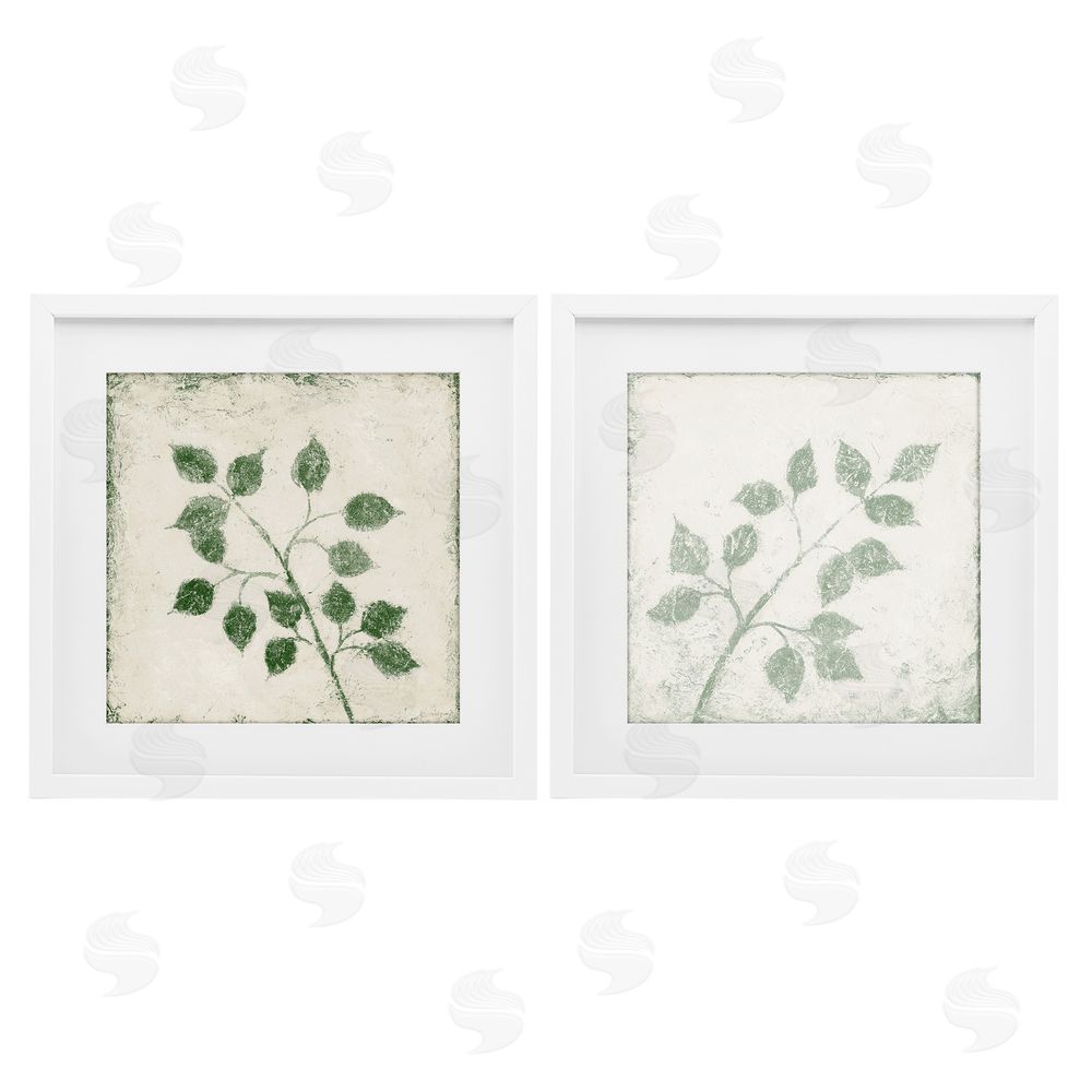 Sundance Graphics November Leaves Soft Plants White Framed Print Under Glass Wall Art