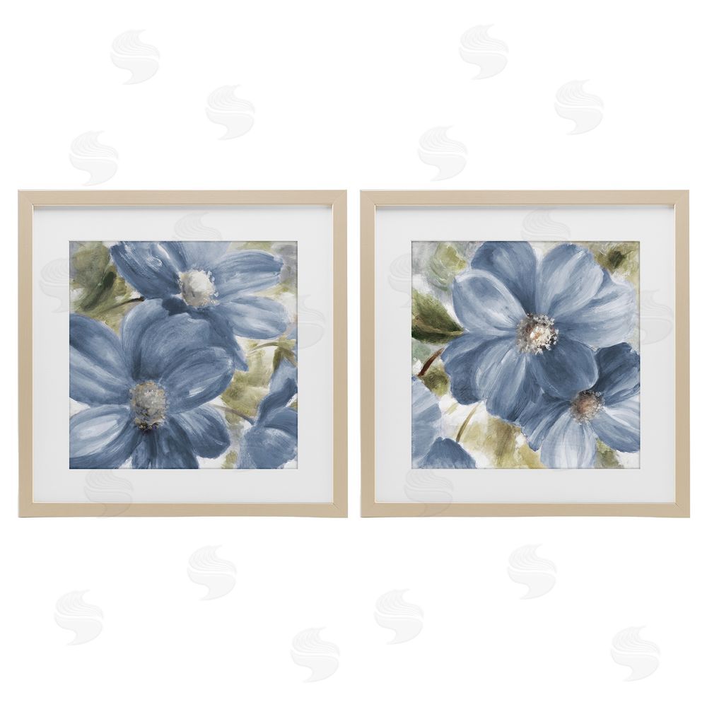 Sundance Graphics Floral Walk in Beauty Birch Framed Print Under Glass Wall Art