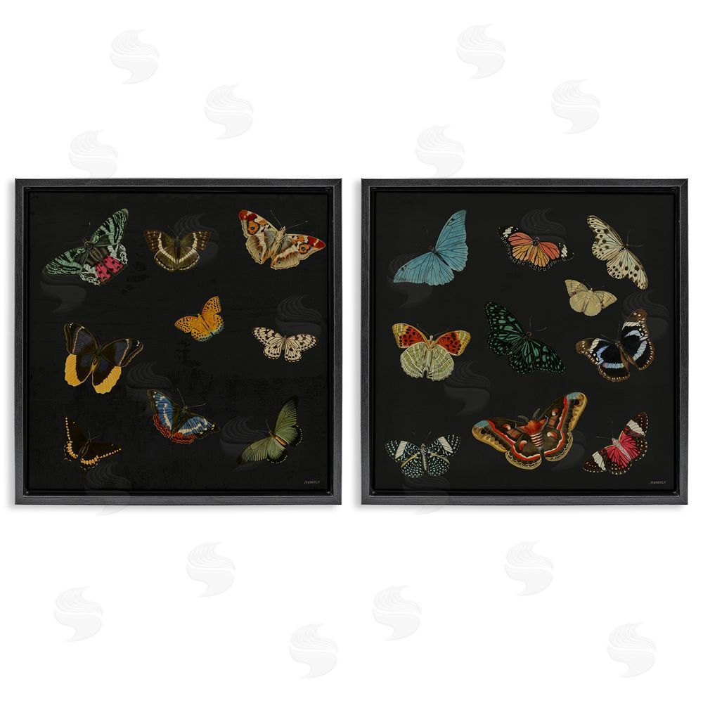 Sundance Graphics Entomology Collection on Black Black Floating Frame Canvas Wall Art Print