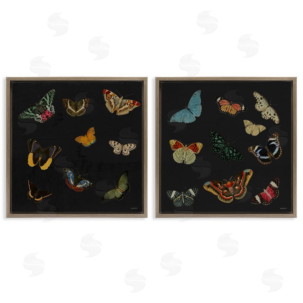 Sundance Graphics Entomology Collection on Black Brown Floating Frame Canvas Wall Art Print