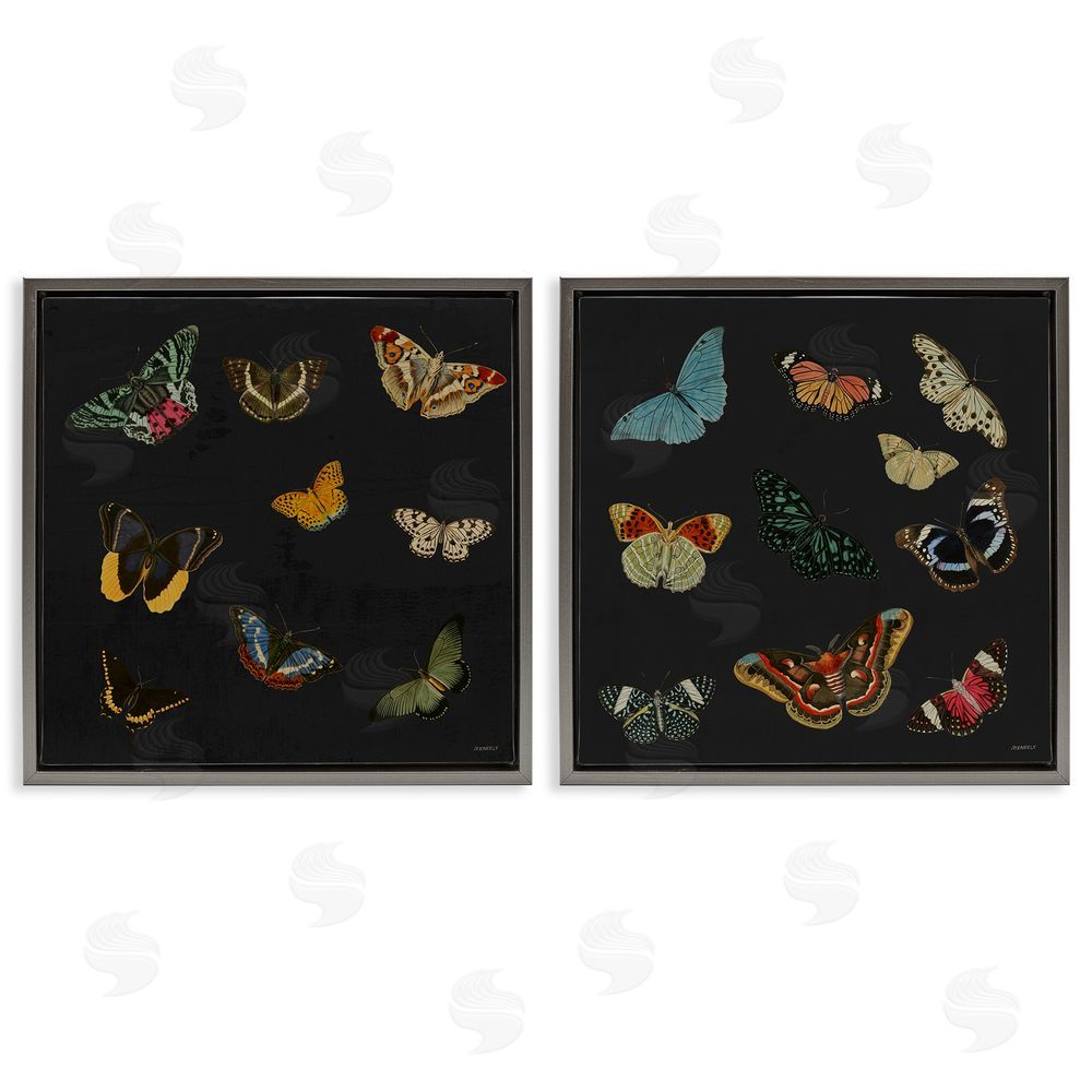 Sundance Graphics Entomology Collection on Black Gray Floating Frame Canvas Wall Art Print