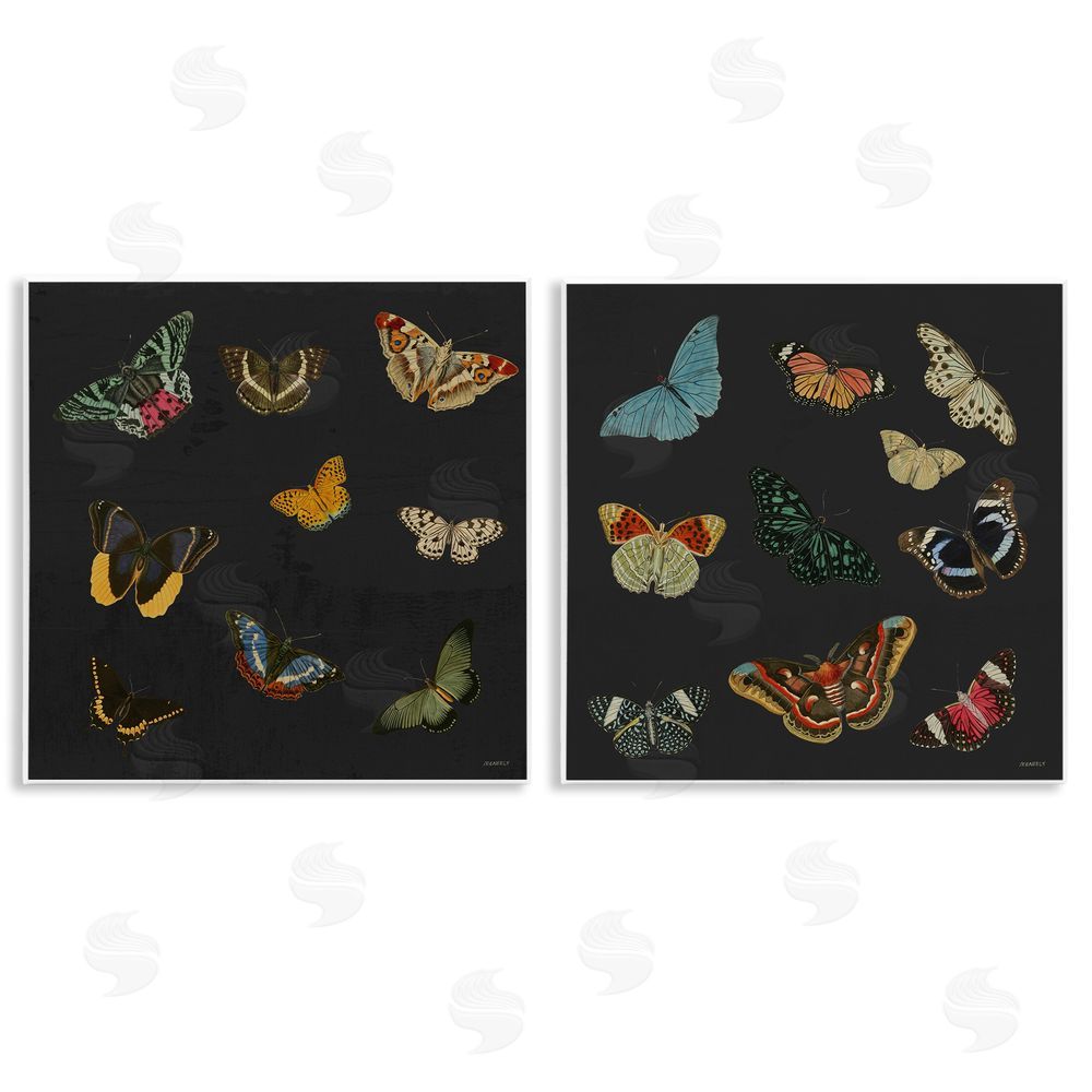 Sundance Graphics Entomology Collection on Black Wall Plaque Printed Art