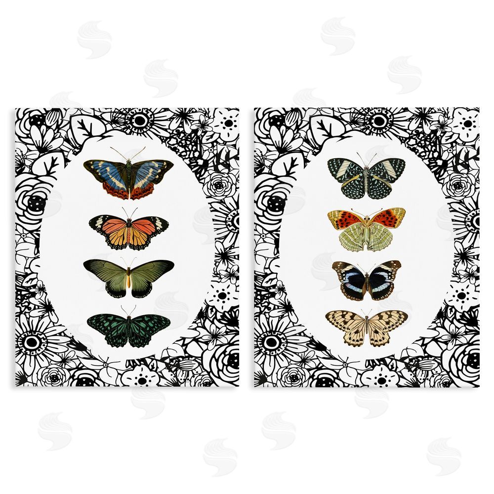 Sundance Graphics Floral Butterflies Lineup Canvas Wall Art Print