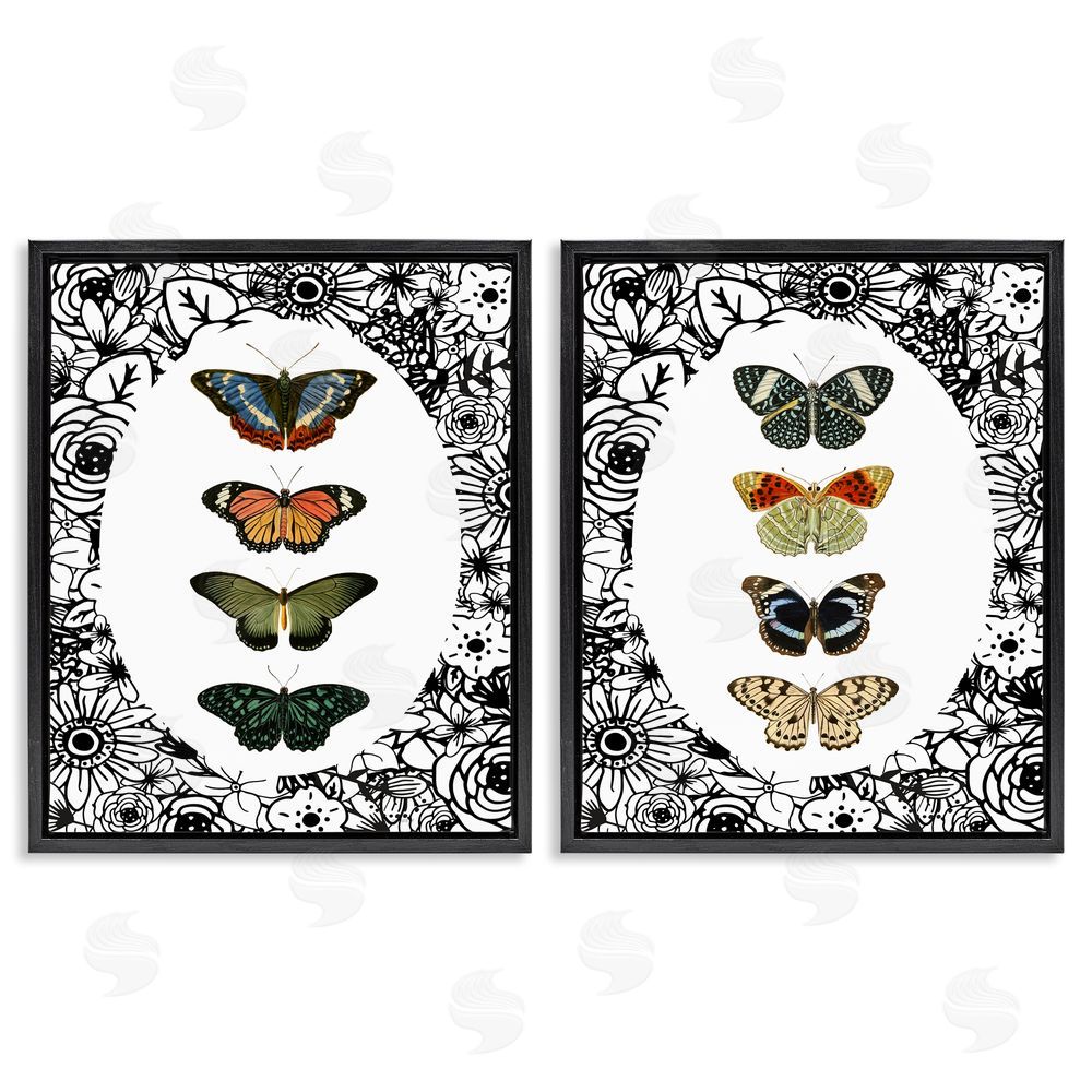 Sundance Graphics Floral Butterflies Lineup Black Floating Frame Canvas Wall Art Print