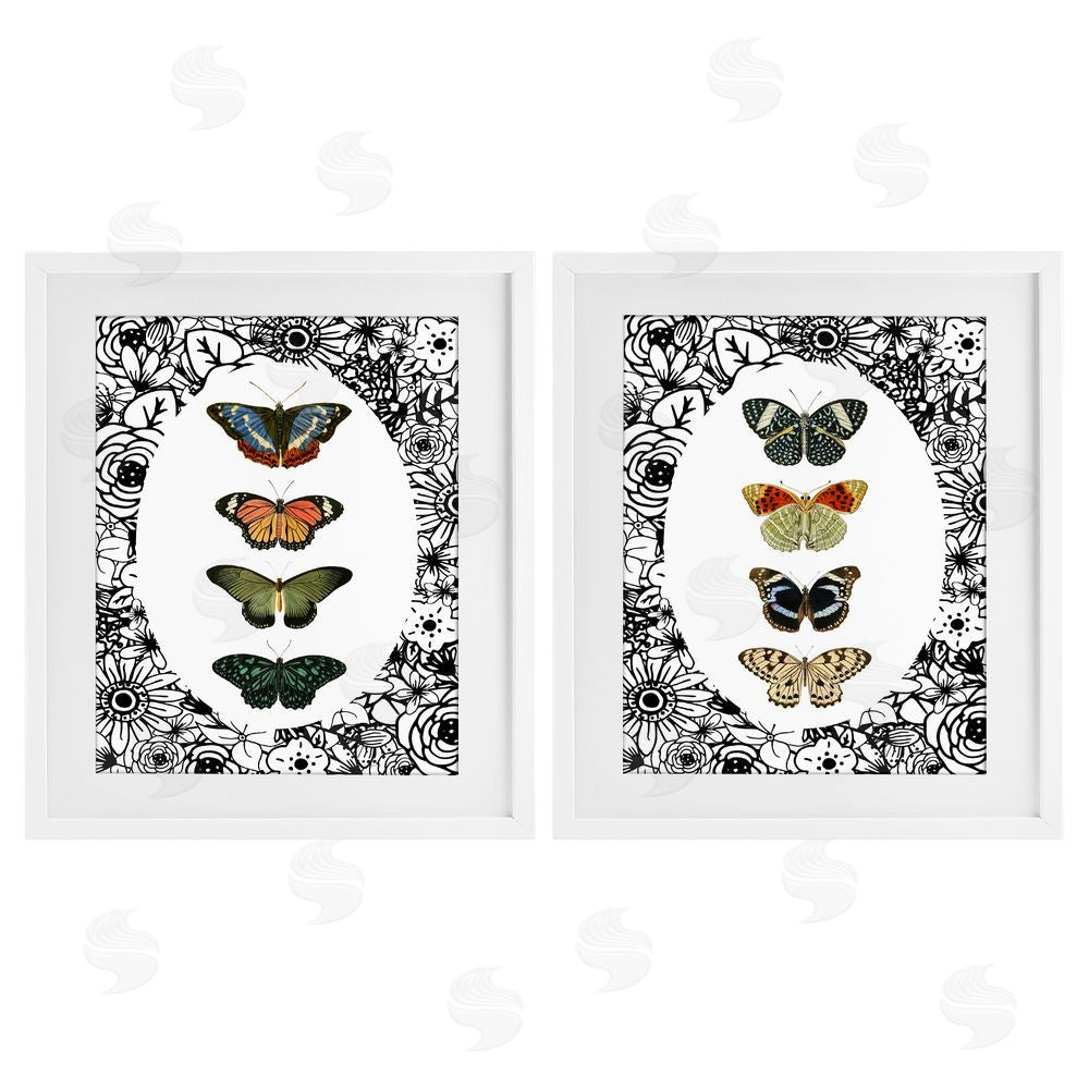 Sundance Graphics Floral Butterflies Lineup White Framed Print Under Glass Wall Art