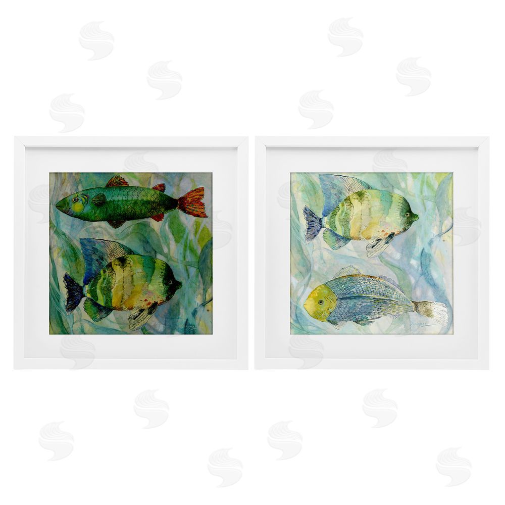 Lorenzo Collective Sweet Fish Aquatics White Framed Print Under Glass with White Mat Wall Art
