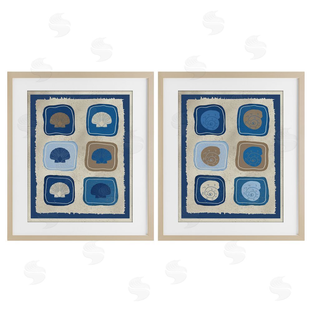 Julia Frost Blue Blocked Seashells Brown Framed Print Under Glass Wall Art