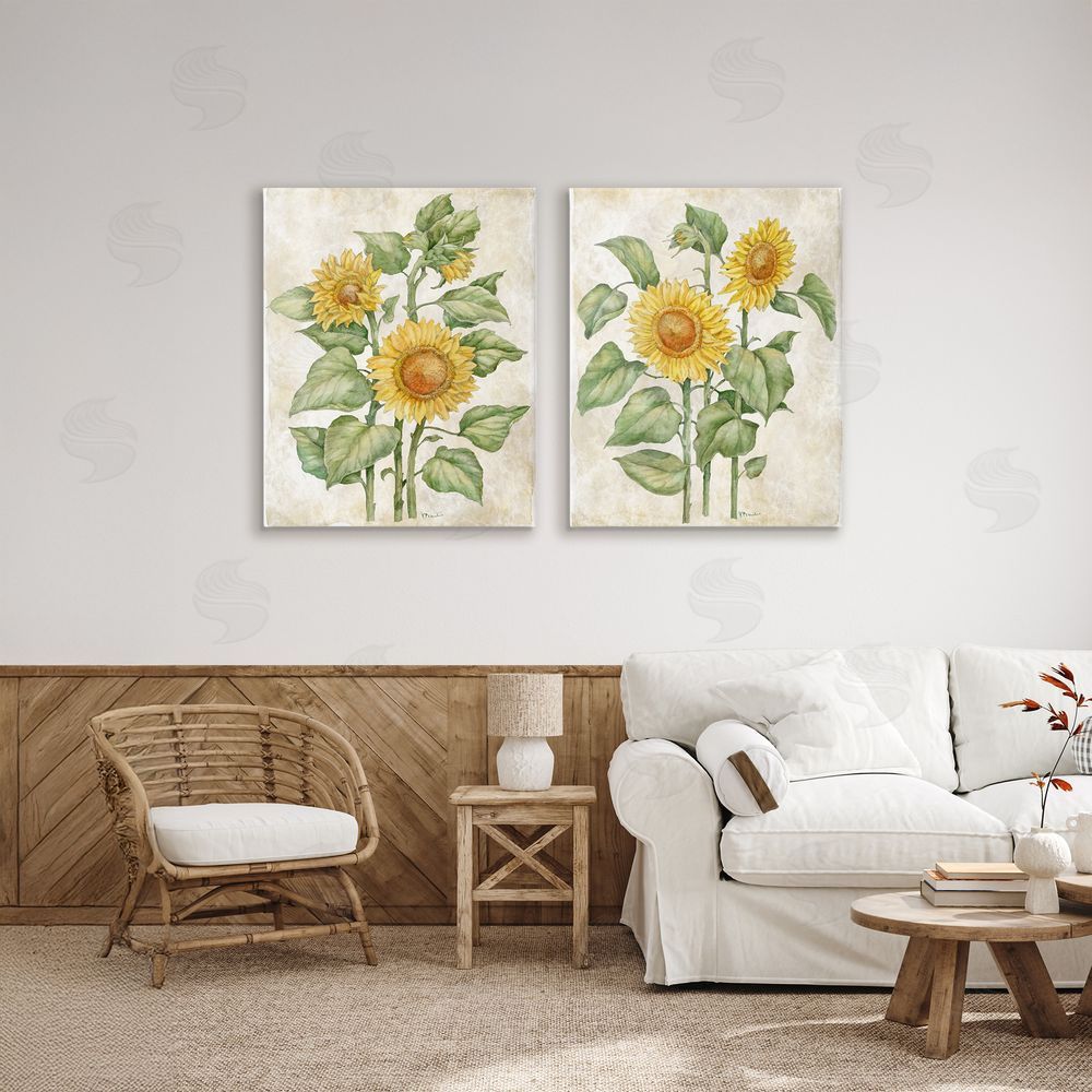 Paul Brent Floral Journal Sunflower Studies Stretched Canvas Wall Art in Room