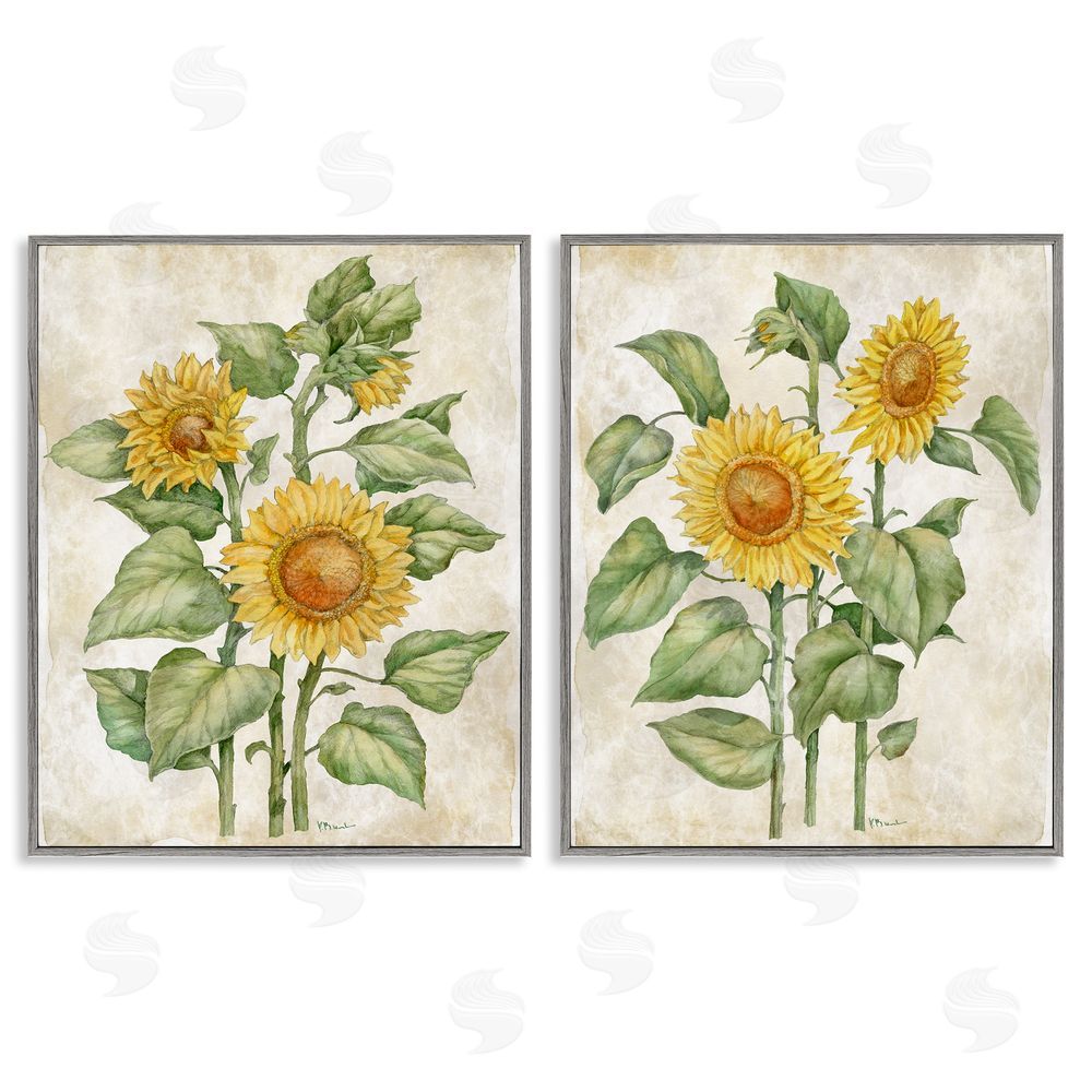 Paul Brent Floral Journal Sunflower Studies Gray Framed Giclee Wall Art