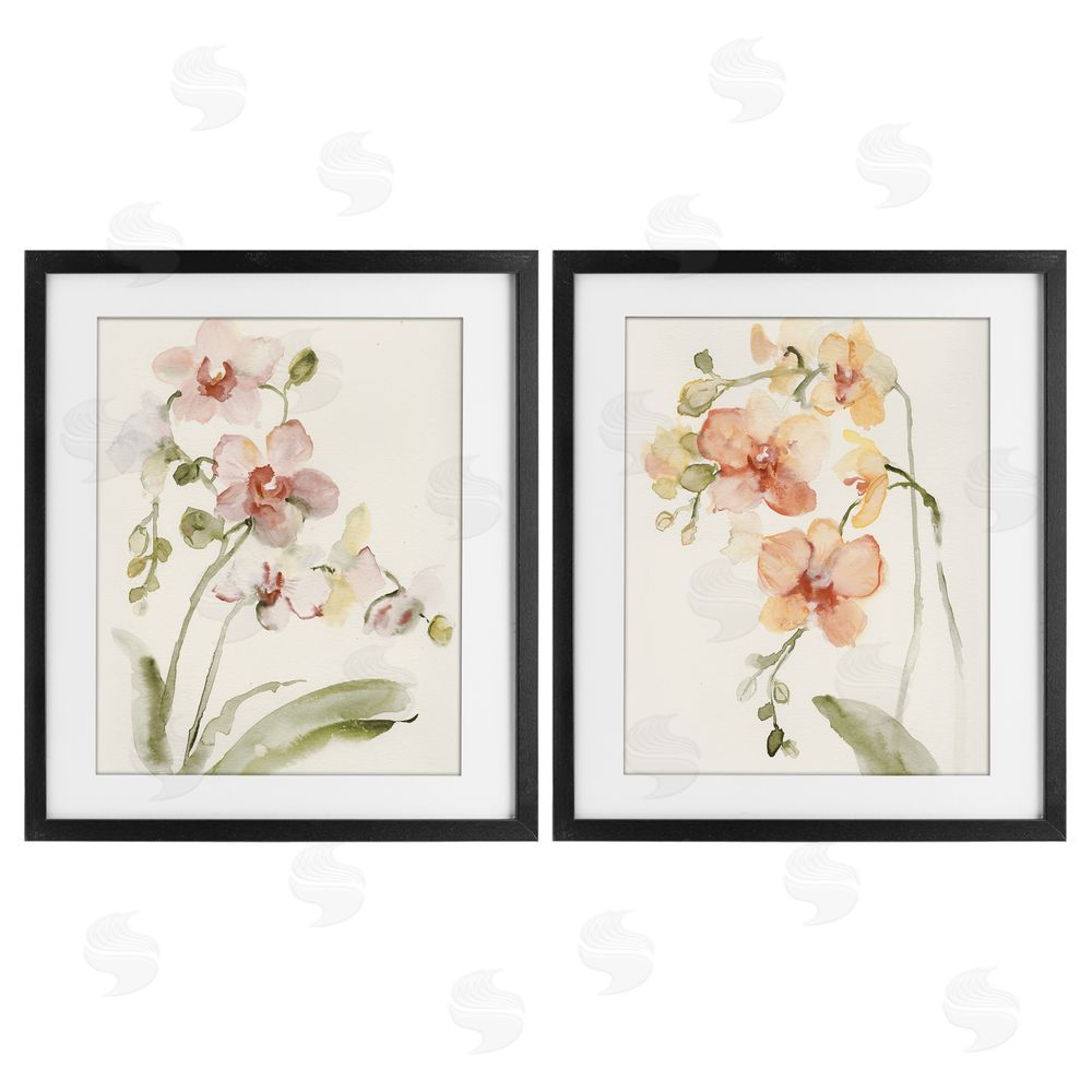 Victoria Barnes Delicate Orchids in Bloom Black Framed Print Under Glass Wall Art
