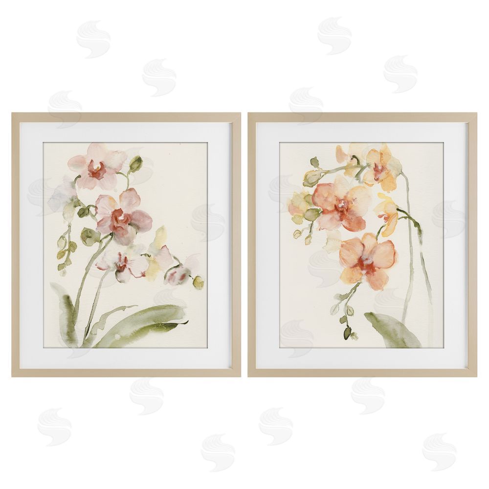 Victoria Barnes Delicate Orchids in Bloom Brown Framed Print Under Glass Wall Art