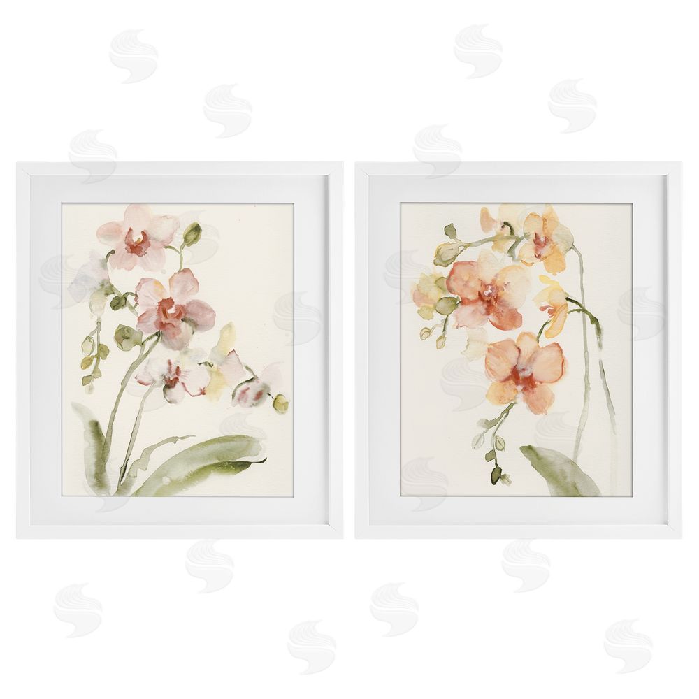 Victoria Barnes Delicate Orchids in Bloom White Framed Print Under Glass Wall Art