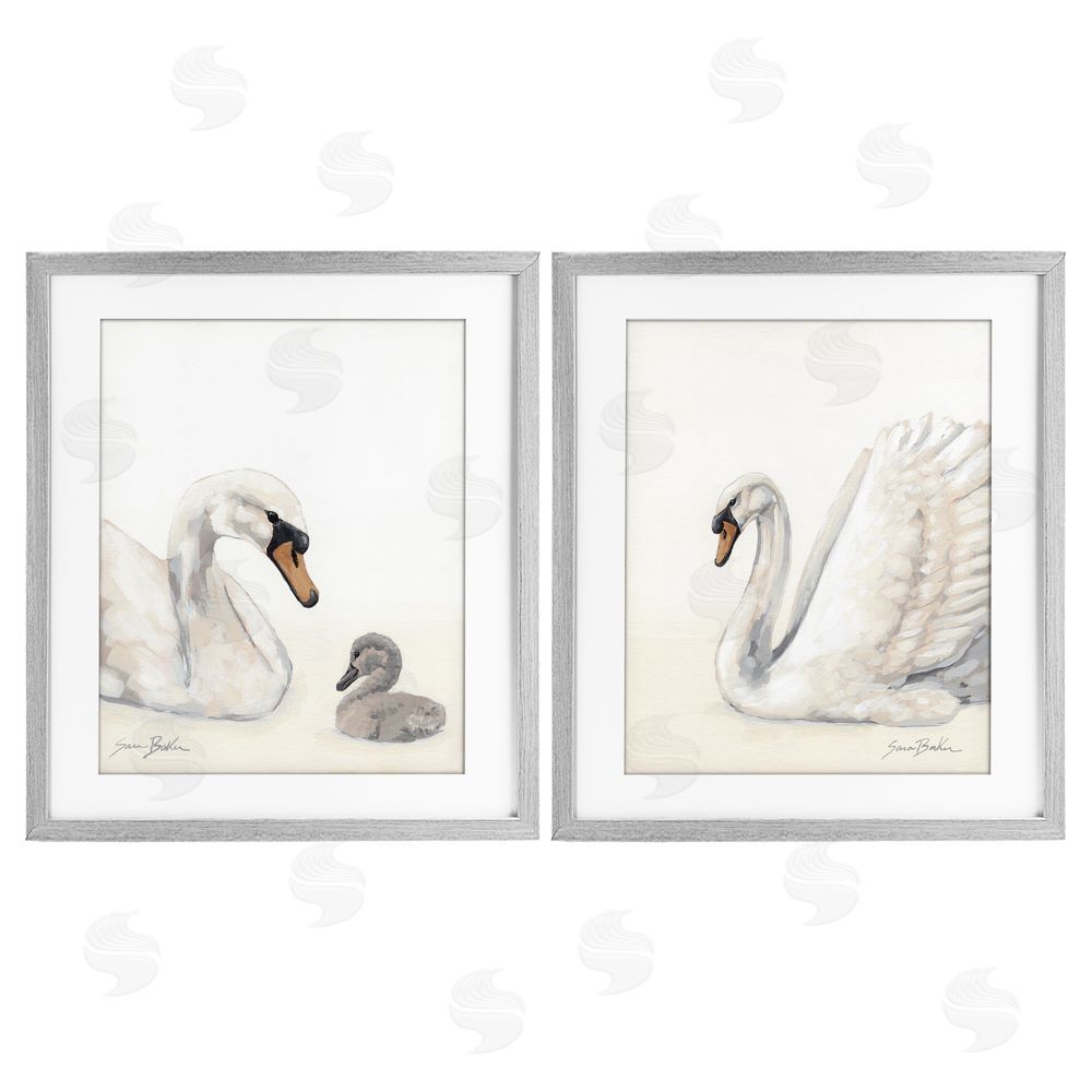 Sara Baker Graceful Swan & Cygnet Gray Framed Print Under Glass Wall Art