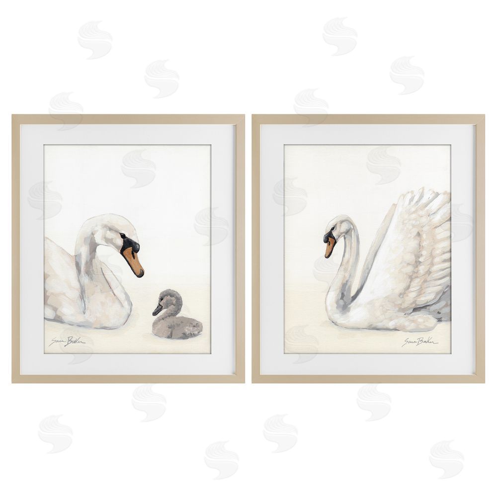 Sara Baker Graceful Swan & Cygnet Brown Framed Print Under Glass Wall Art