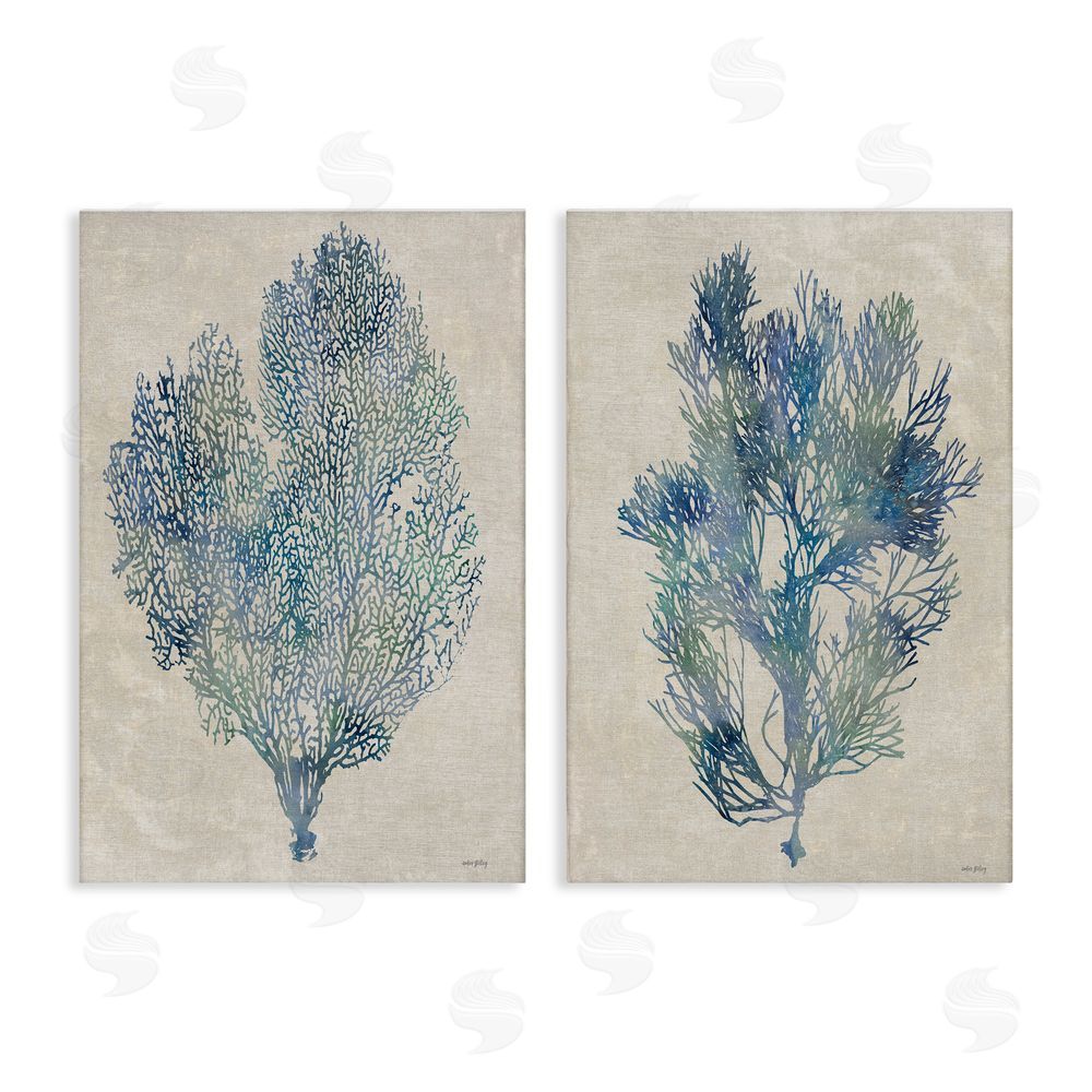 Amber Sterling Fan Coral Study in Blues Stretched Canvas Wall Art
