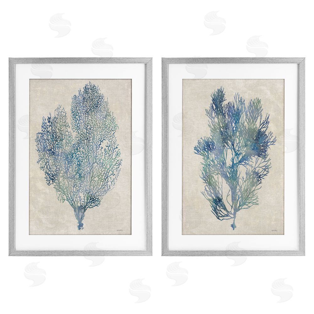 Amber Sterling Fan Coral Study in Blues Gray Framed Print Under Glass Wall Art