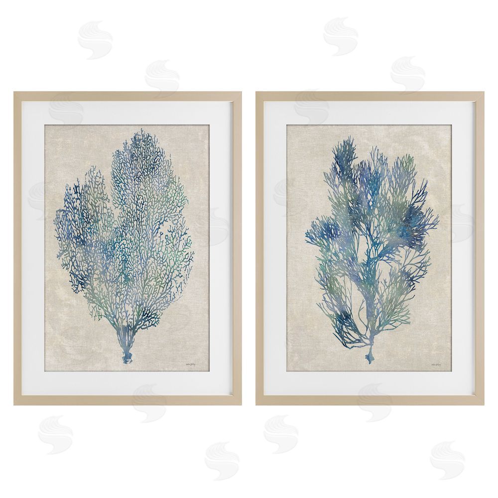 Amber Sterling Fan Coral Study in Blues Brown Framed Print Under Glass Wall Art