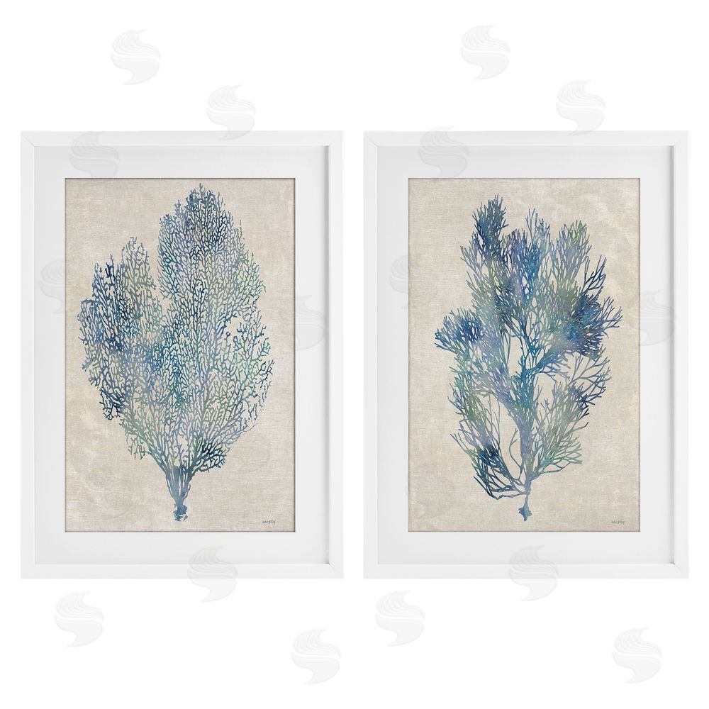 Amber Sterling Fan Coral Study in Blues White Framed Print Under Glass Wall Art
