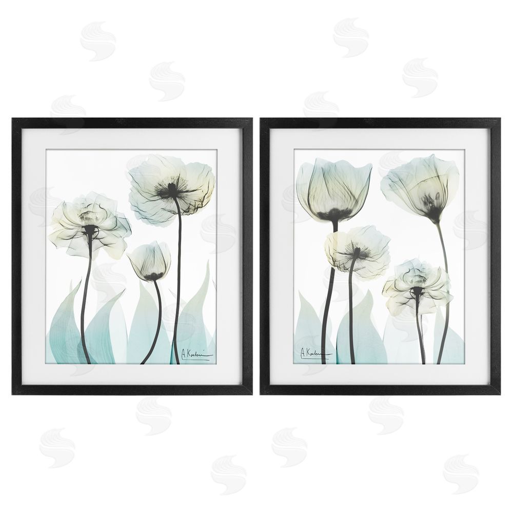 Albert Koetsier Luxury Of Creation Flowers Black Framed Print Under Glass Wall Art