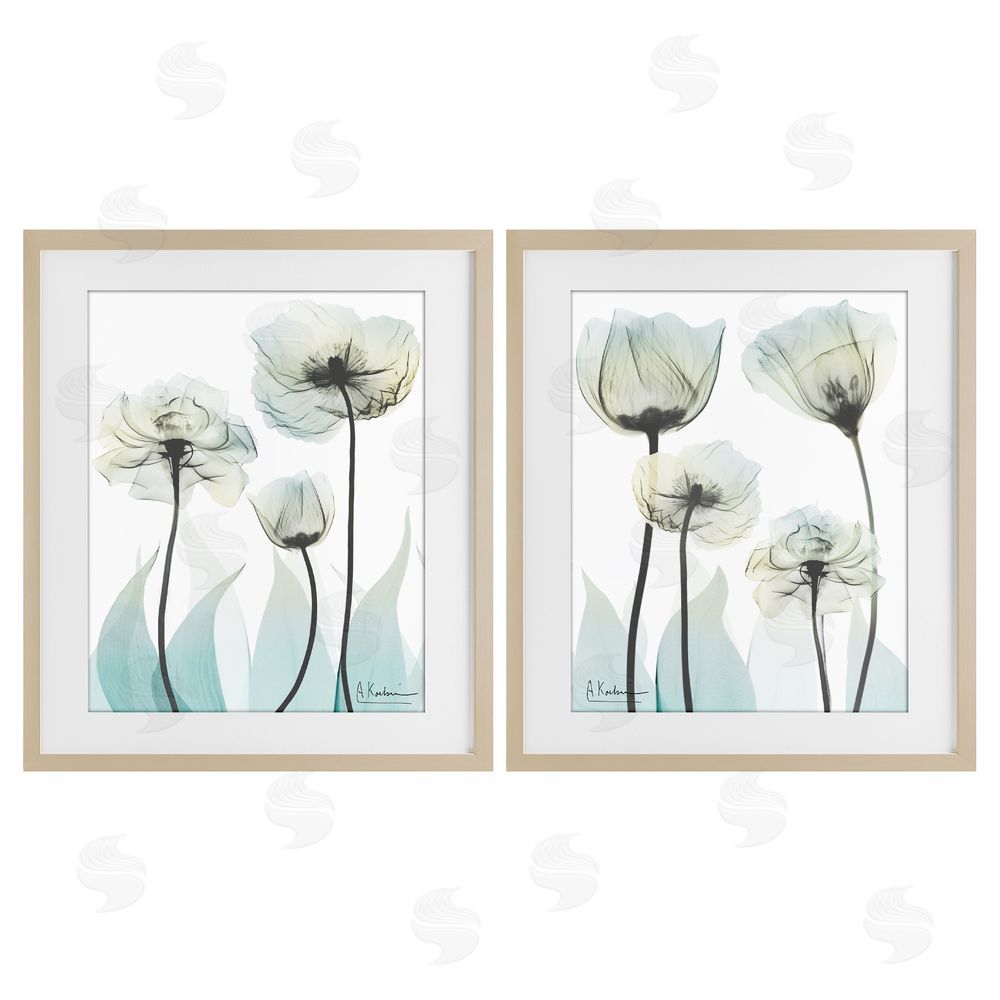 Albert Koetsier Luxury Of Creation Flowers Brown Framed Print Under Glass Wall Art