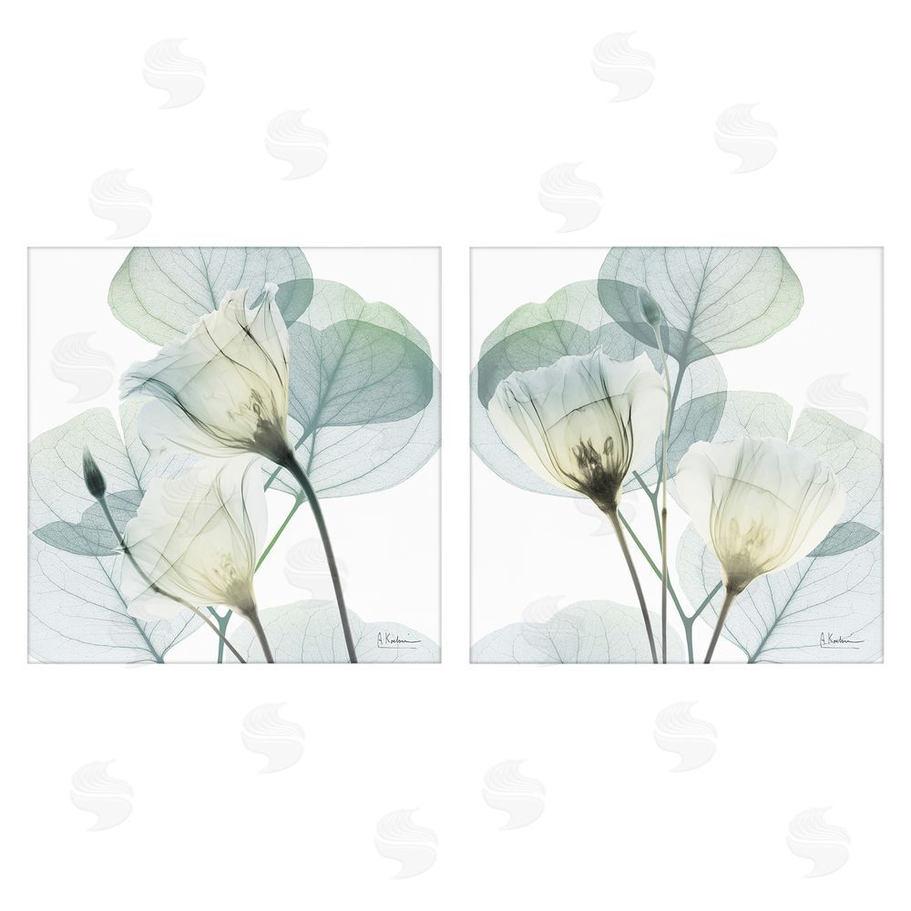 Albert Koetsier Divine Fate Flowers Stretched Canvas Wall Art Print