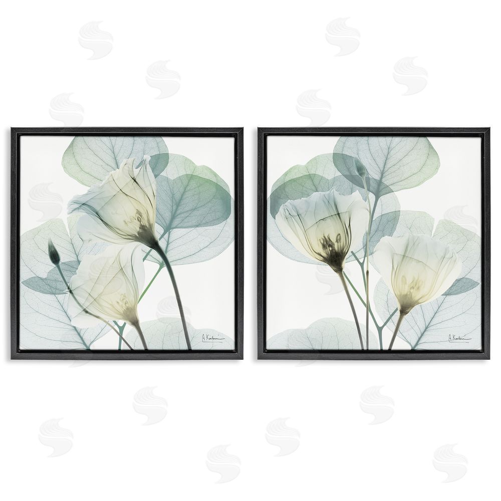 Albert Koetsier Divine Fate Flowers Black Floating Frame Canvas Wall Art Print